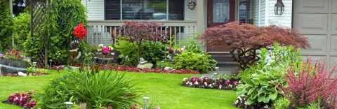 Weed free flower beds