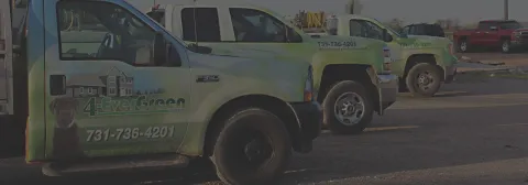 4-EverGreen Trucks