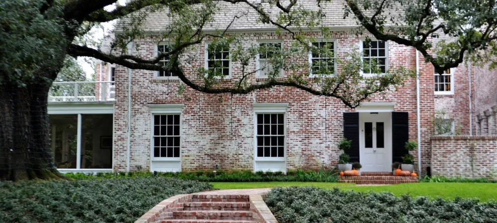 house with termites