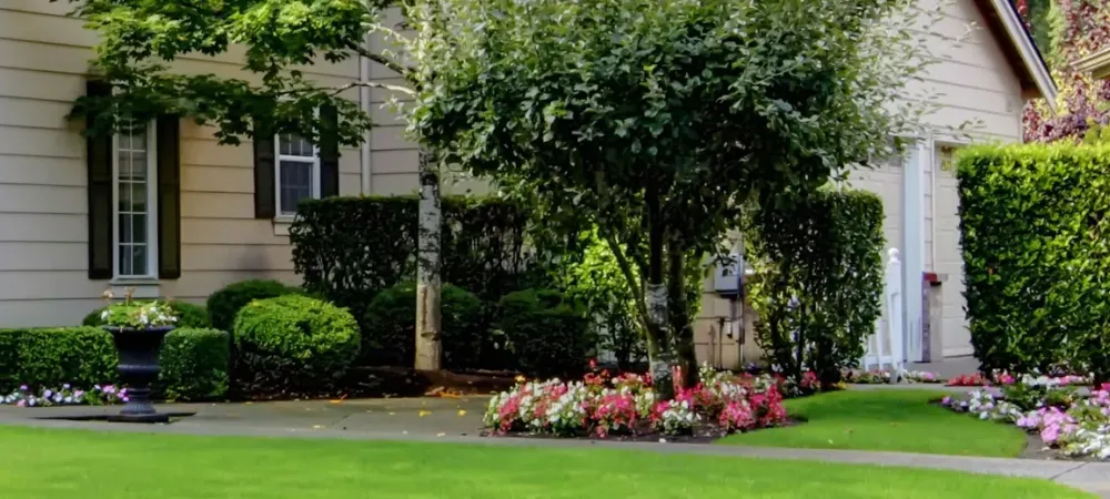 Home with beautiful trees and shrubs