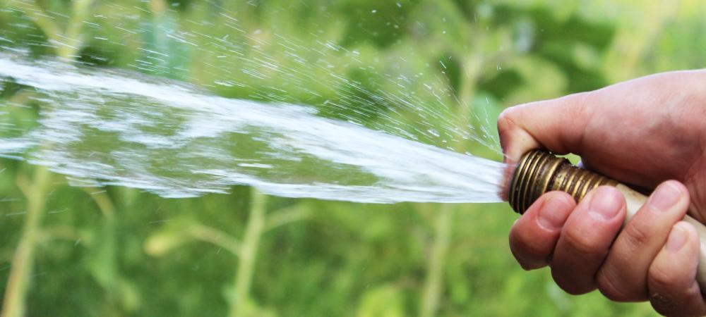 water spraying from a hose onto grass